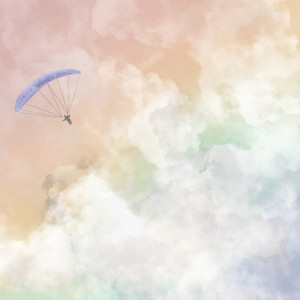 Paraglider