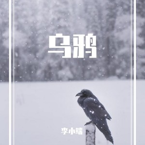 乌鸦 (伴奏)