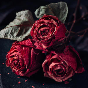 Me Convertiste en un Recuerdo