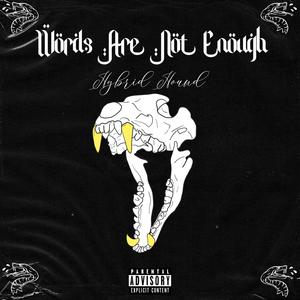 Words Are Not Enough (Explicit)