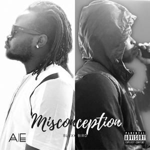Misconception (Explicit)