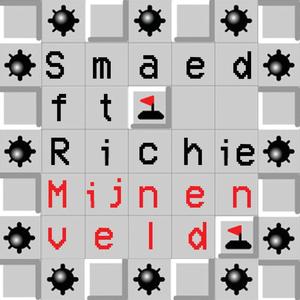 Mijnenveld (feat. Richie) [Explicit]