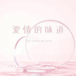 爱情的味道封面