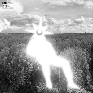 Dans la vallée ! (Explicit)