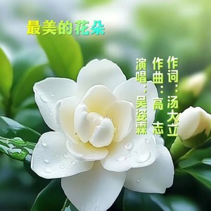 最美的花朵 (伴奏)