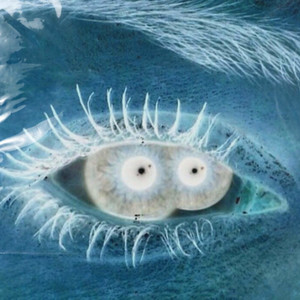 polmoni schiacciati (Explicit)