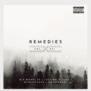 Remedies (feat. Djy Wandi Sa, Justin Olejay & Hossy deh dj)