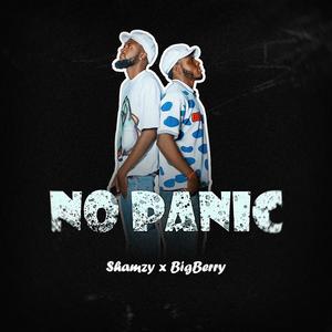 No Panic (feat. BigBerry)