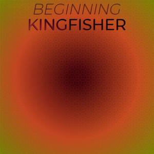 Beginning Kingfisher