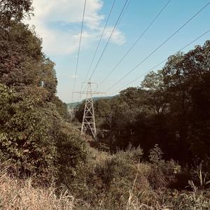 Peace (feat. Ethan Cybril)