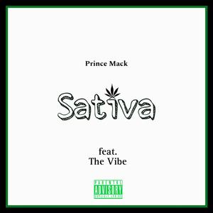 Sativa (feat. The Vibe) (Explicit)