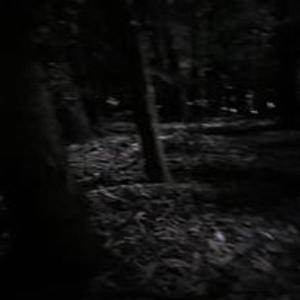 Off The Roof (feat. Grimlake) (Explicit)