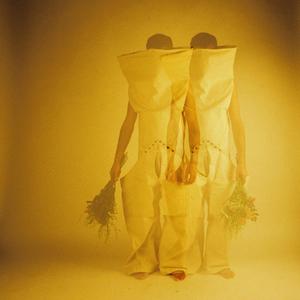 Flâneur (Explicit)