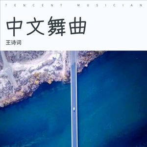 韩毒 (remix: 王梦瑶|王Music|王诗词|端木熙|王诗词 remix)