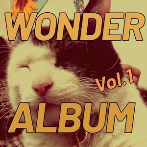 WonderAlbum,Vol.1