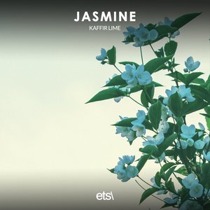 Jasmine