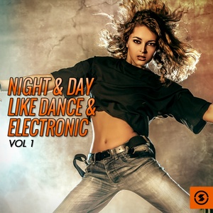 Night & Day Like Dance & Electronic, Vol. 1