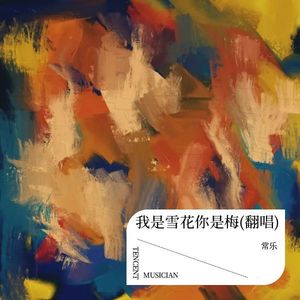 我是雪花你是梅