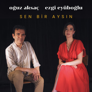 Sen Bir Aysın