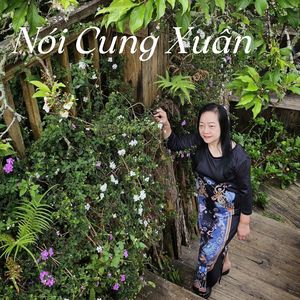 Nói Cung Xuân