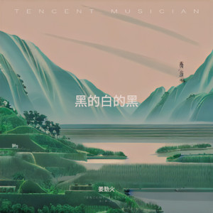 黑的白的黑