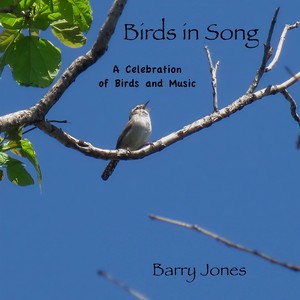 birds in song