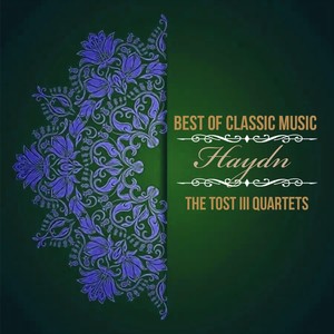 String Quartet No. 3 in E-Flat Major, IJH 412 - II. Adagio