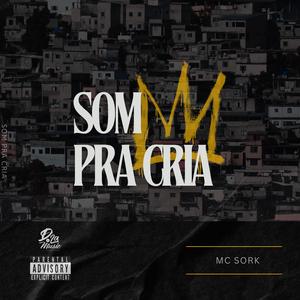 Som Pra Cria (feat. Estúdio D'LáMusic) (Explicit)