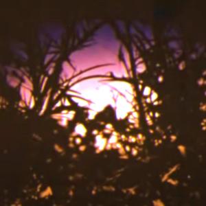 NorthsideLullaby (feat. static) (Explicit)