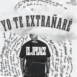 Yo te extrañare (feat. Zapata el Fido) [Radio Edit]