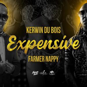 Expensive(feat. Kerwin Du Bois & Farmer Nappy)