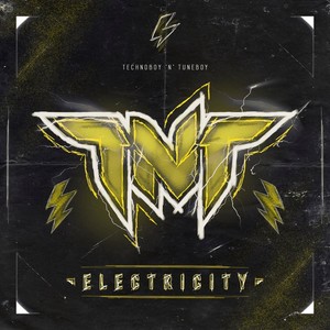 Electricity (Extended Version)