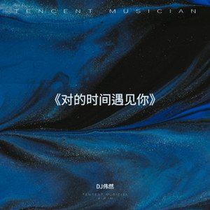 对的时间遇见你 (DJ大金版)