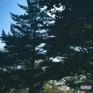 CANCUN (Freestyle) (Explicit)