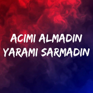 Acımı Almadın Yaramı Sarmadın