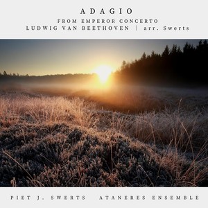 Emperor Concerto - Adagio (Arr. by Swerts)