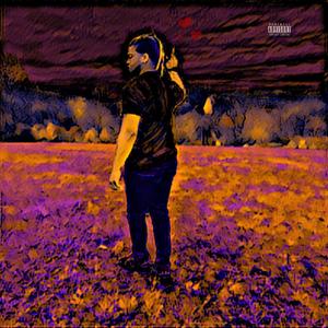 Let's See (Explicit)