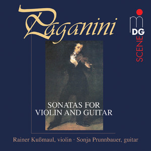 Sonata for Violin and Guitar in A Minor, Op. 2, 6 - II. Tempo di Walzer