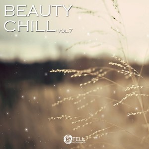 Beaty Chill, Vol. 7