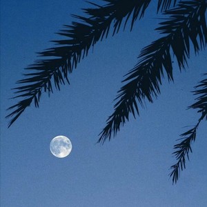 天空你是否知晓一切