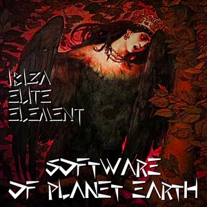 Software of Planet Earth