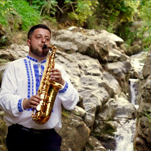 Instrumentala lui Bujorel Tulea