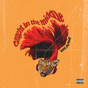 Caught in the Middle (Explicit)