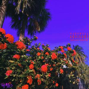 STUNNA DIOR FANCY (Explicit)