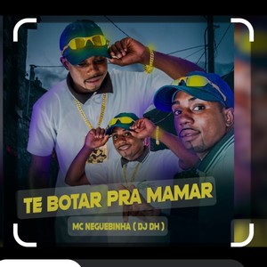 Te Bota pra Mamar (Explicit)