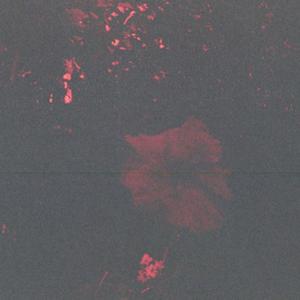 beynimi dağıtmak istiyorum' (Explicit)