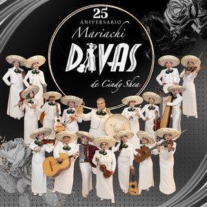 Porque Te Conoci (Instrumental)