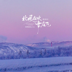 北风在吹雪在飞封面
