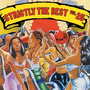 Strictly The Best Vol. 25