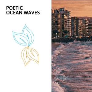 Ambient Ocean and Bird Sound